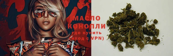индика Медногорск
