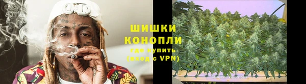 индика Медногорск