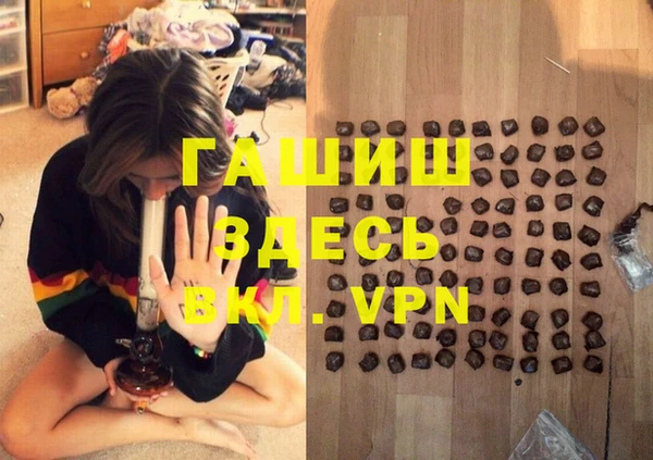 индика Медногорск
