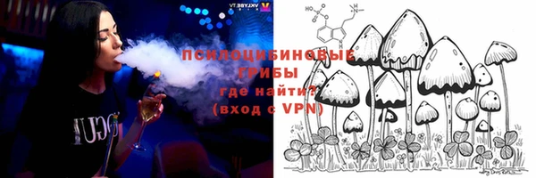 PSILOCYBIN Медвежьегорск