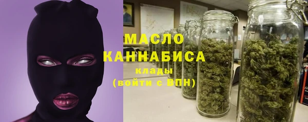 индика Медногорск