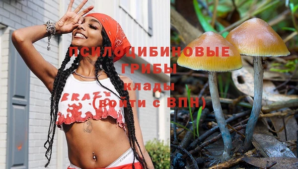 индика Медногорск