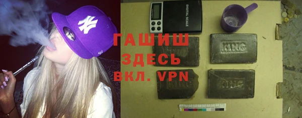 индика Медногорск