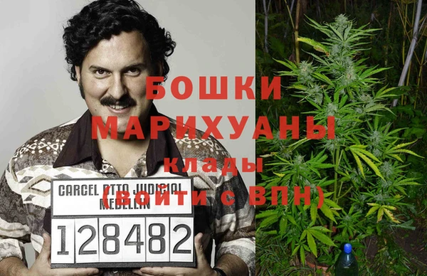 индика Медногорск