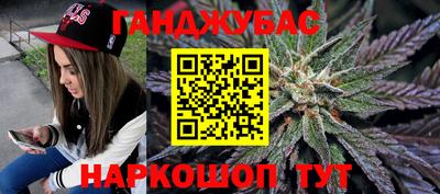 молекула духа Кингисепп