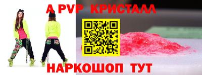молекула духа Кингисепп