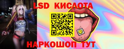 молекула духа Кингисепп