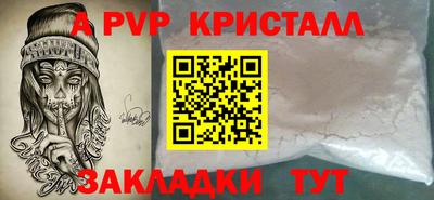 молекула духа Кингисепп