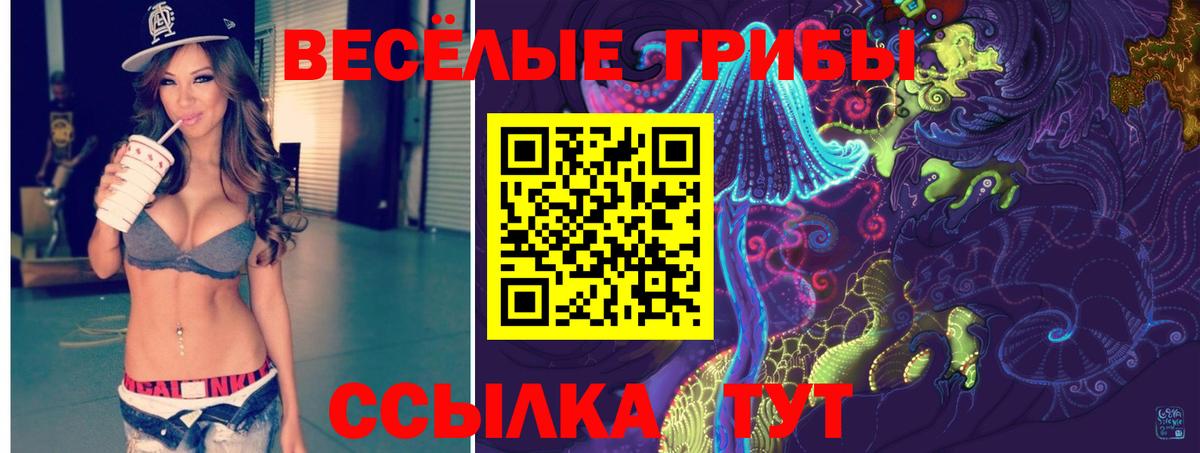 Лангепас  Галлюциногенные грибы Cubensis  Вход с VPN 